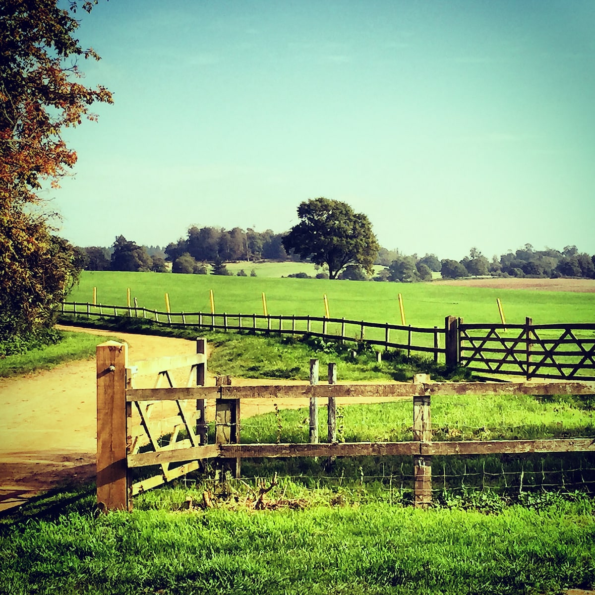 A serene landscape features expansive green fields bordered by wooden fencing. A dirt path leads through the area, with trees visible in the distance under a clear blue sky. The scene captures the tranquility of rural surroundings.