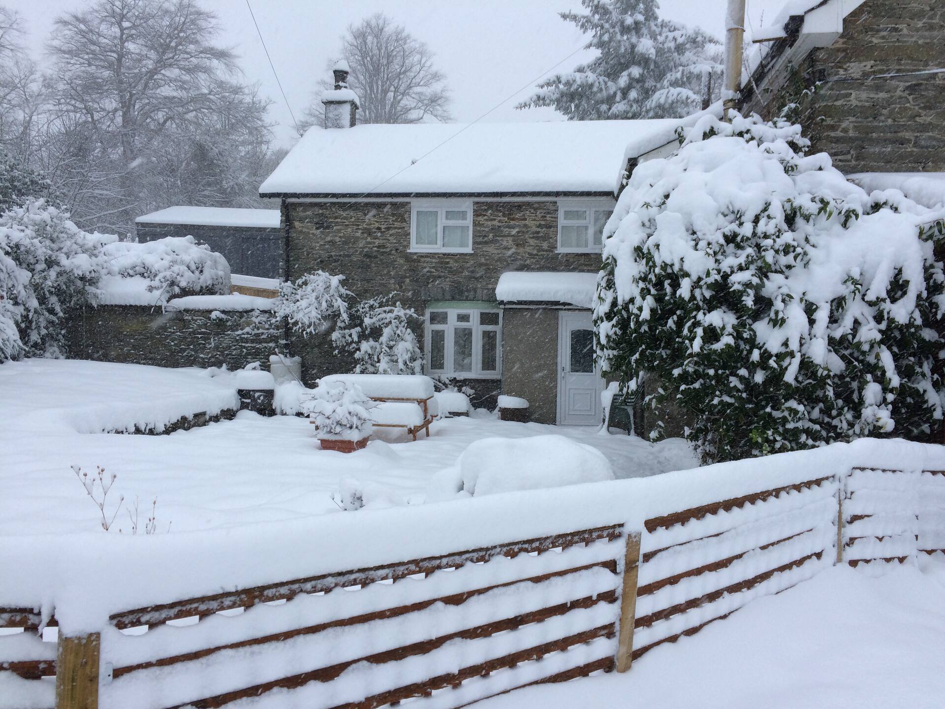 Gwardolau Cottage — photo 2