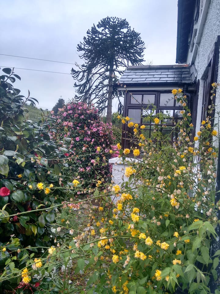 Wicklow Holiday Rentals & Homes Ireland Airbnb