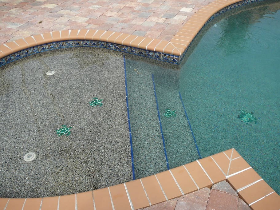 Tanning Pool with Swimming Turtles