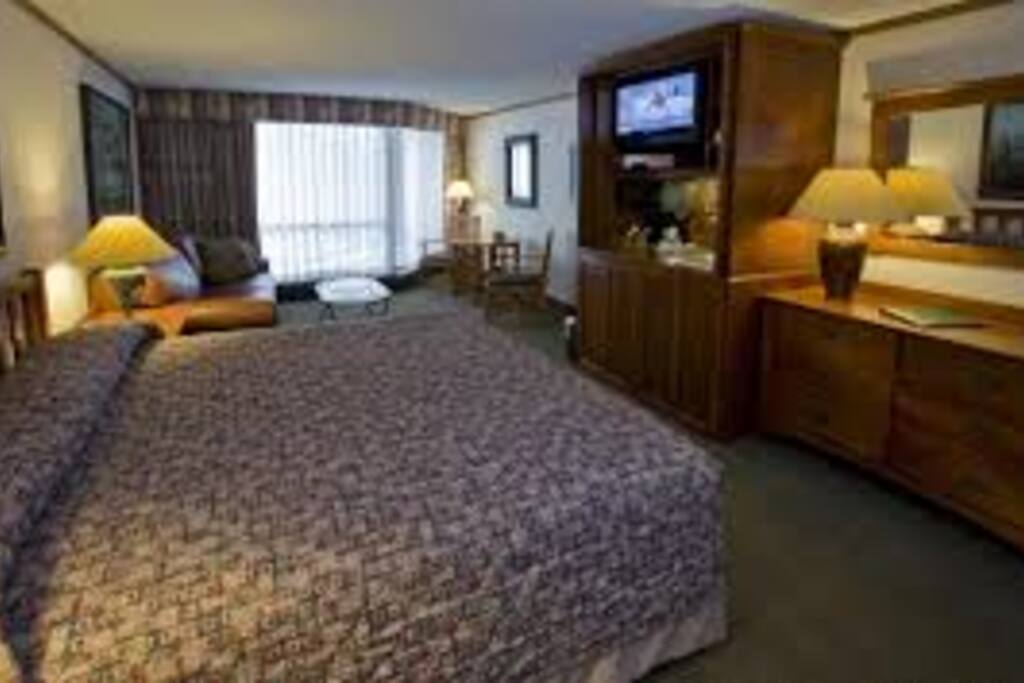 Bedroom Module, one king size bed and queen size sofa bed. There are two of these on either side of the center unit.