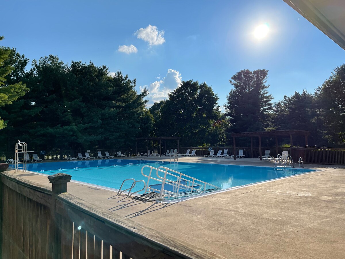 An outdoor swimming pool features clear blue water, with lounge chairs arranged around its perimeter. Lush green trees provide shade in the background, and a sunlit sky is visible above, creating a serene atmosphere for relaxation.
