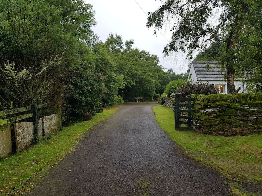 Driveway to Farm