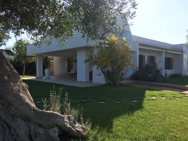 Nel blu dipinto di blu gallery image 2