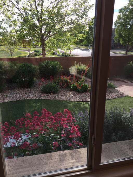 Courtyard in the summer