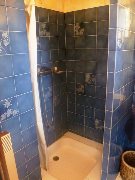 Depuis la chambre, accès à la salle de douche privée avec lavabo