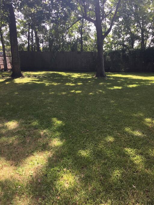 Big backyard!