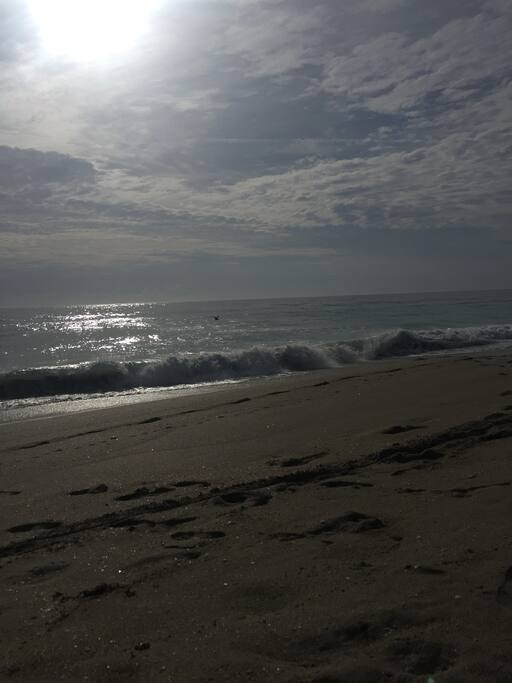Beautiful Stuart beaches 20 min drive