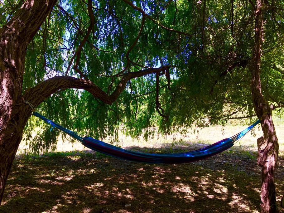 What about a nap under the weeping willow ?