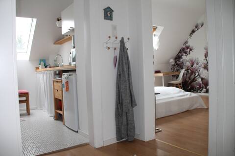 Beautiful 1 ZKB in Homburg central