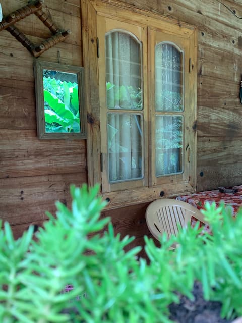Wooden House Tsikhisdziri