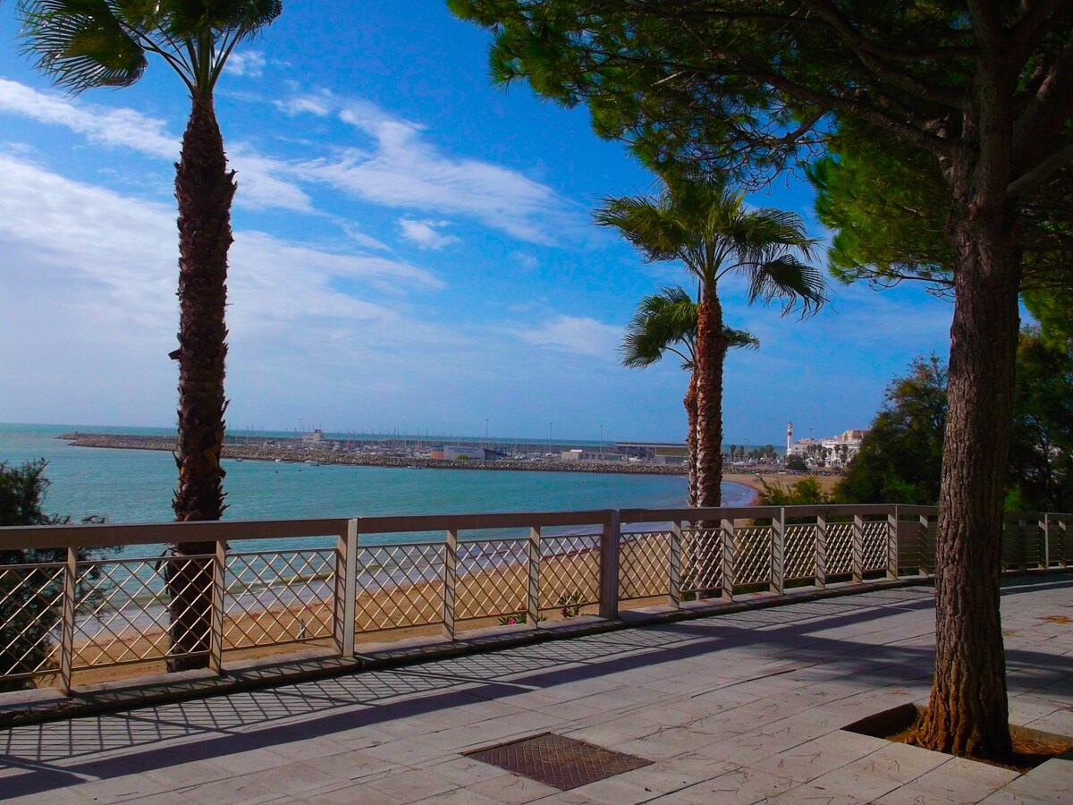A scenic seaside promenade is featured, lined with tall palm trees swaying gently. The sandy beach is visible to one side, while calm waters of the Bay of Cadiz extend into the distance, meeting a clear blue sky scattered with soft clouds.