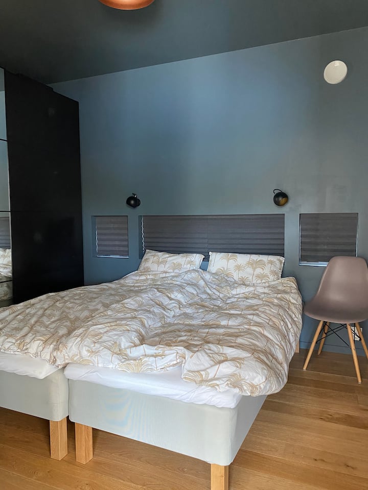 Dhomë gjumi kryesore me banjë private
