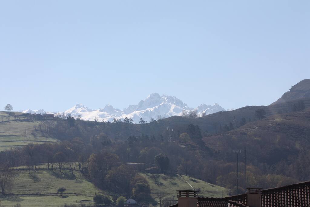 VISTAS DEL SALÓN