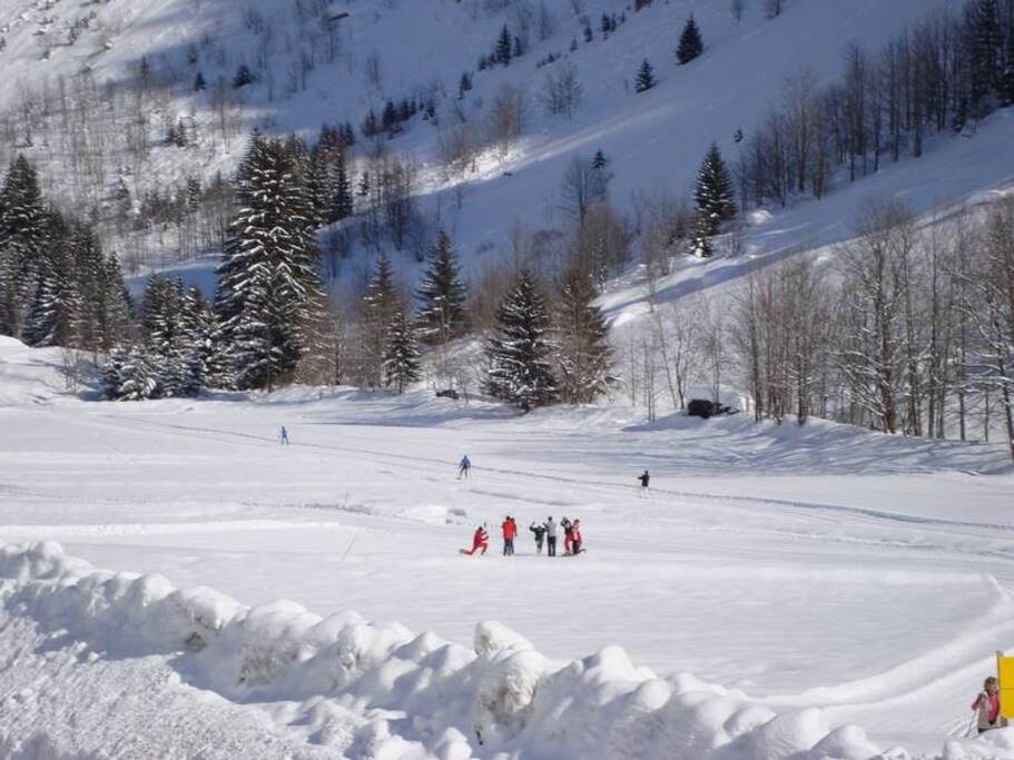Pistes de ski de fond face au chalet
