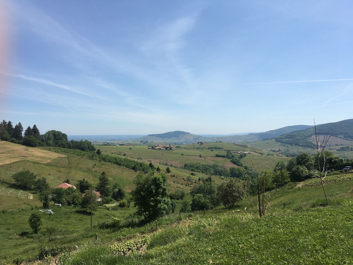 A panoramic view of rolling green hills stretches into the distance, characterized by patches of trees and agricultural fields. The sky is bright with light clouds, creating an open and airy atmosphere. Distant mountains are faintly visible, enhancing the natural landscape.