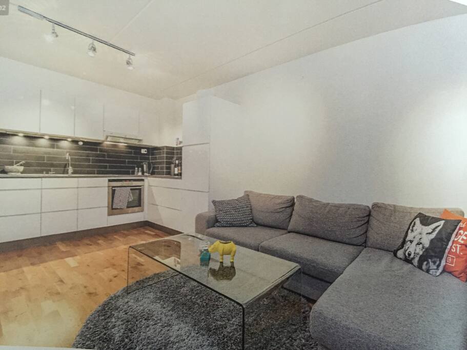 Living room and kitchen