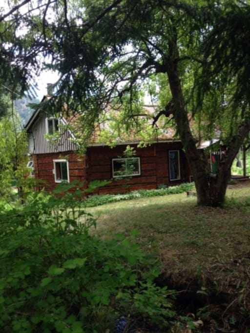 My front yard by the creek