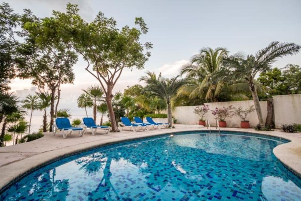 The large oceanfront pool is surrounded by loungers