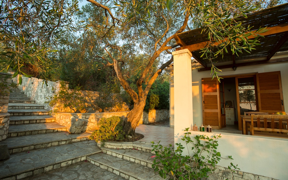 A stone pathway leads up to a villa surrounded by lush greenery, featuring an olive tree and steps that enhance the natural setting. The patio door reveals a glimpse of the dining area, while soft sunlight creates a warm atmosphere on the terrace.