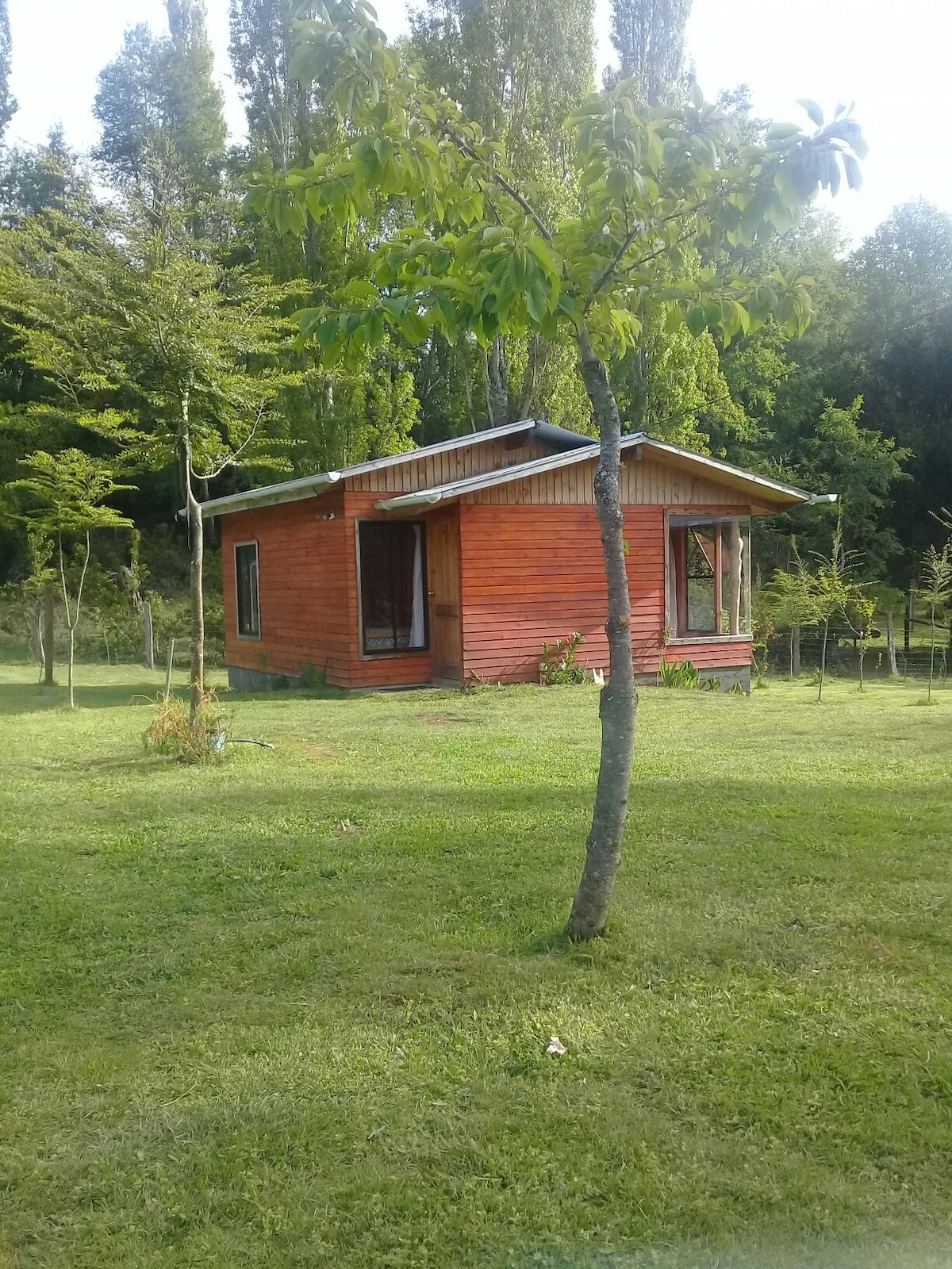 A rustic wooden cabin sits amidst a lush green landscape, surrounded by young trees and manicured grass. Large windows frame the front, inviting natural light inside. The peaceful setting enhances the cozy and serene atmosphere, ideal for a relaxing getaway.