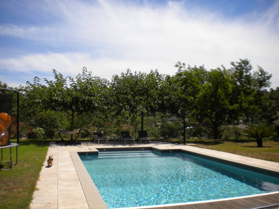 Piscine 5*10 à fond plat (1,10 à 1,60m)