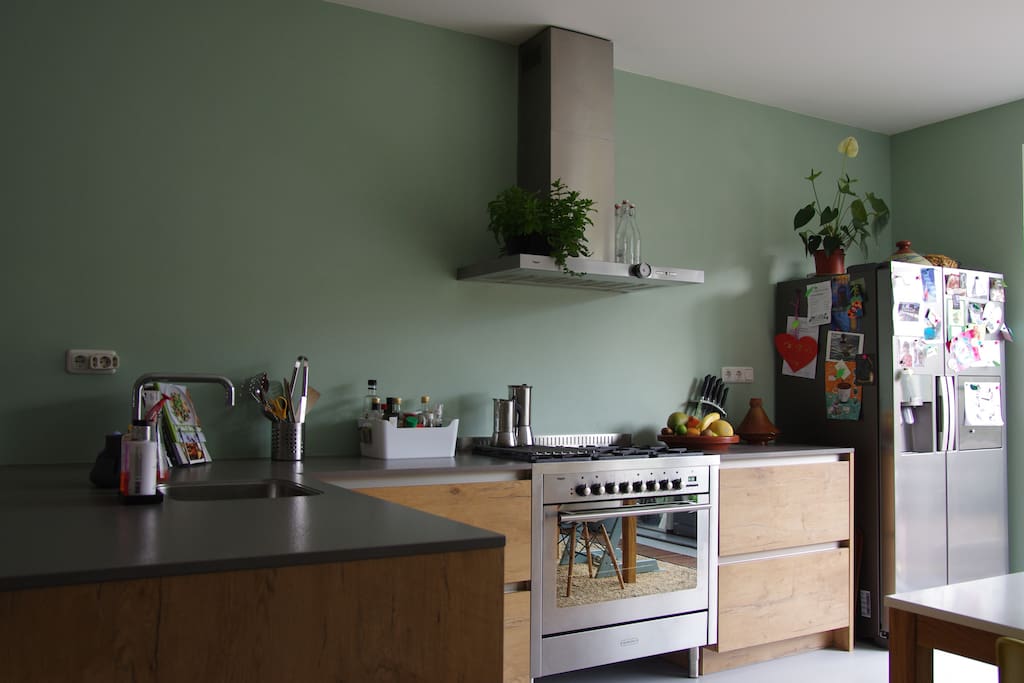 Modern kitchen with qooker (instant hot tea), oven and large fridge with ice-cube station.