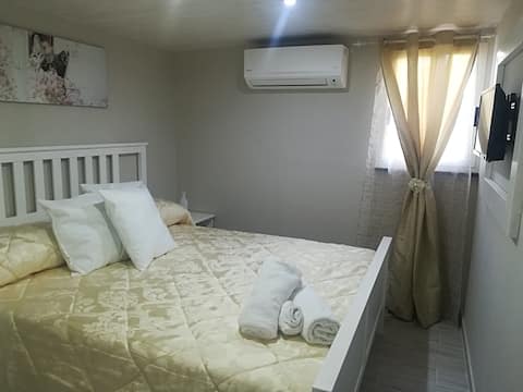 The Queen's Butterfly