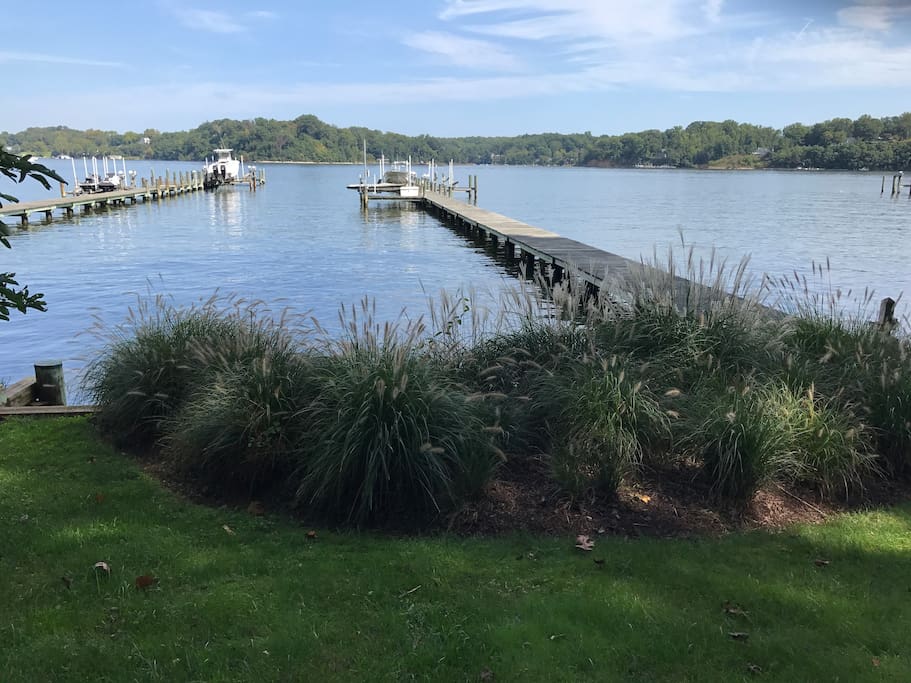 Backyard and pier
