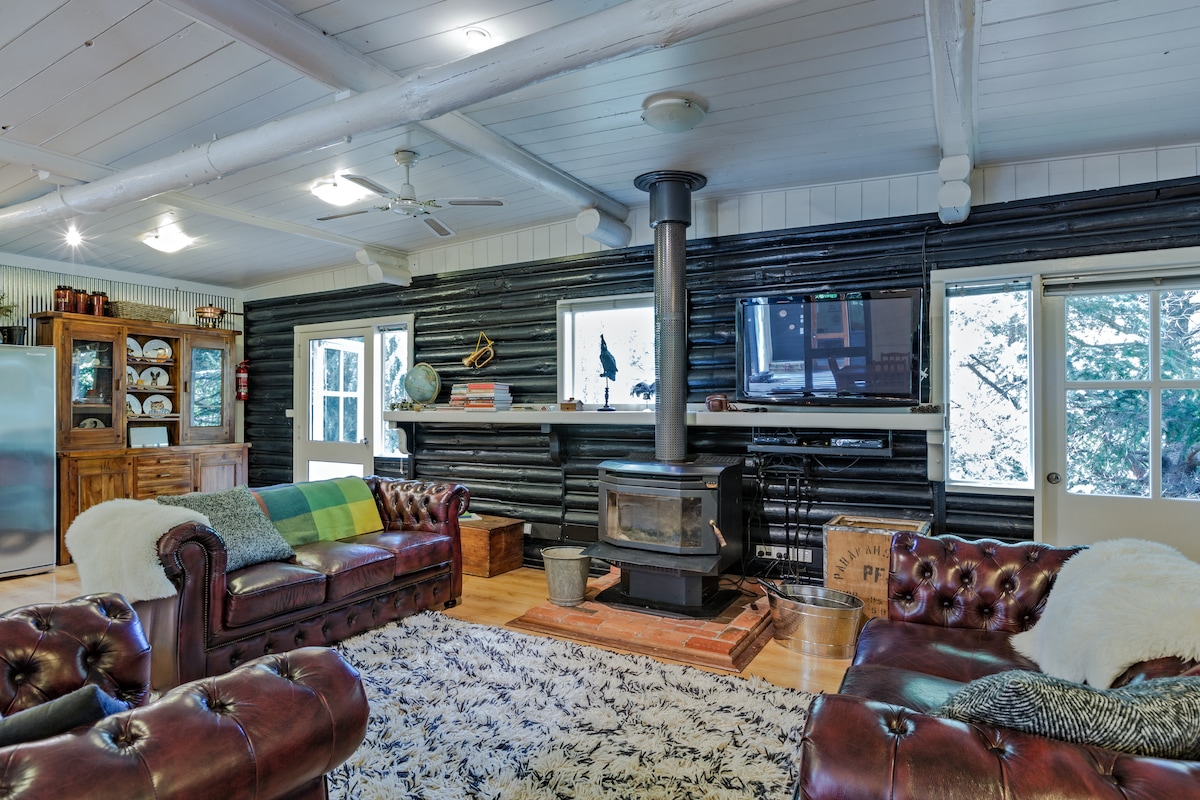 A welcoming living area features two brown leather couches arranged around a brick fireplace stove. Natural light fills the space through large windows offering woodland views, while a television is mounted above a rustic mantel. A patterned rug complements the wooden floors.