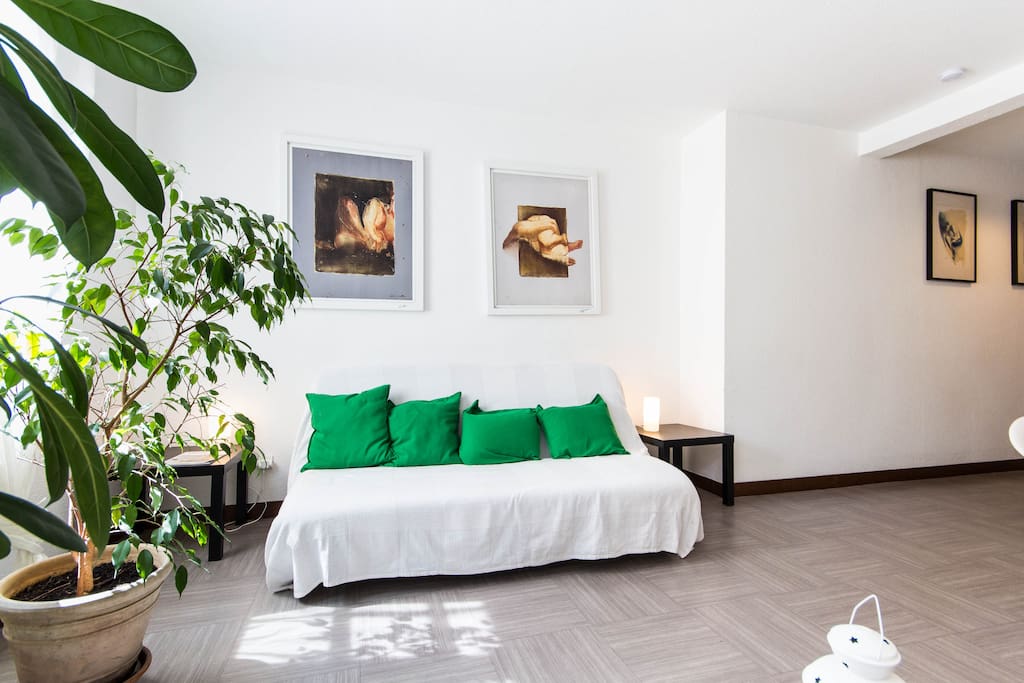 Les plantes font partie de la maison