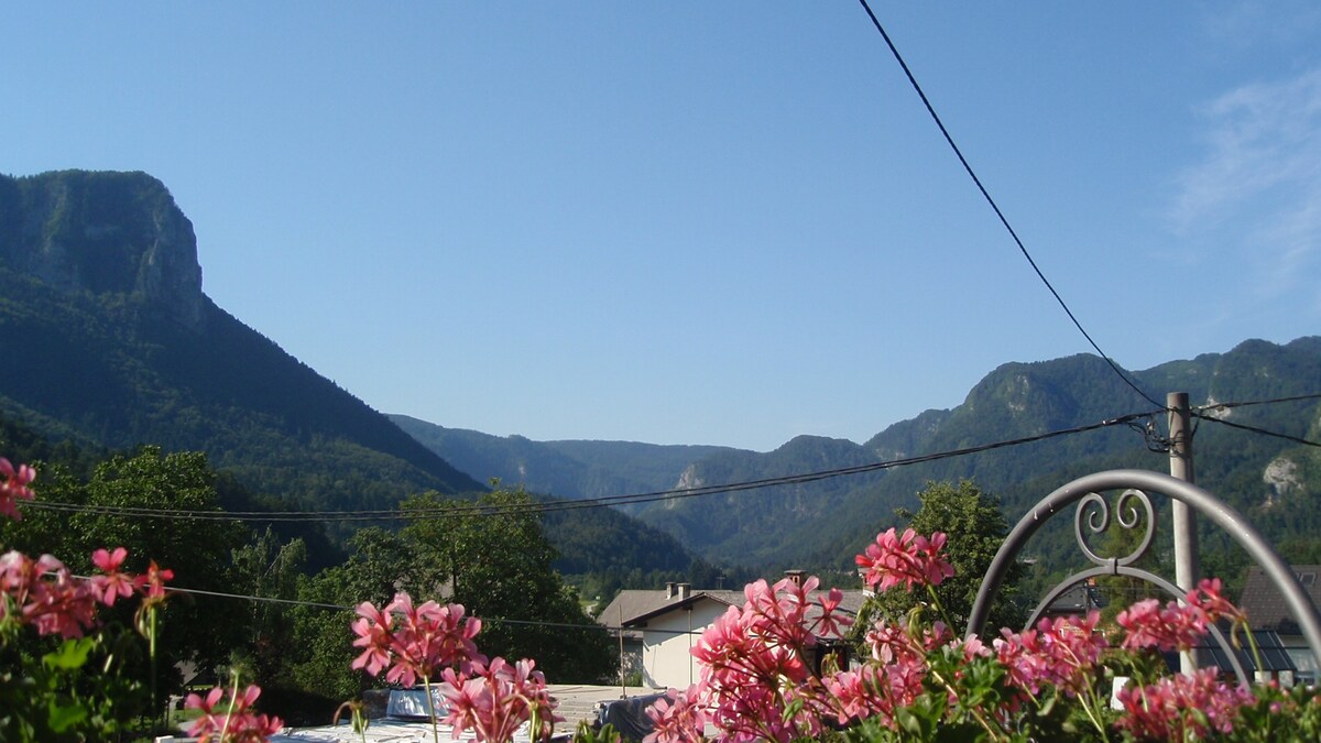 A view of rolling green hills and majestic mountains is framed by vibrant pink flowers in the foreground. The expansive sky above is clear and blue, enhancing the serene rural landscape. Power lines gently traverse the image, connecting the natural scenery to the village.