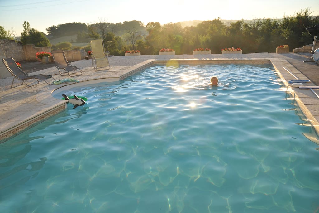 Early Morning swim.