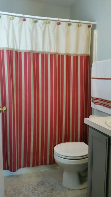 Private bathroom inside the master bedroom.
