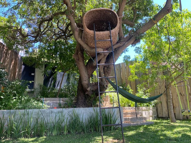 Big, beautiful Victorian with magical garden gallery image 3