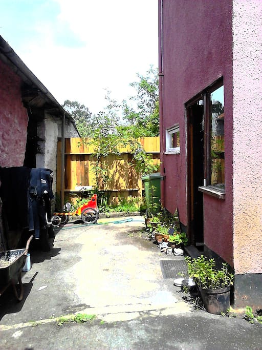 back yard - outside the back door