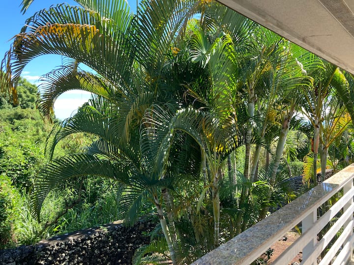 Top 8 LongTerm Rentals In KailuaKona, Hawaii Updated 2024 Trip101