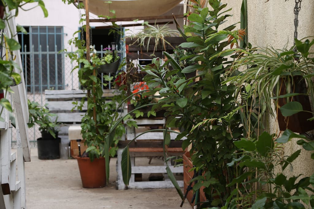 Beautiful outdoor space to have a coffee and smell the flowers