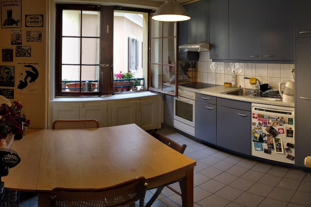 The kitchen of the apartment