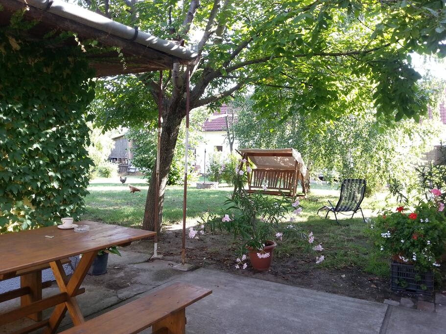 Hungarian farmhouse Houses for Rent in Zákányszék, Csongrád, Hungary