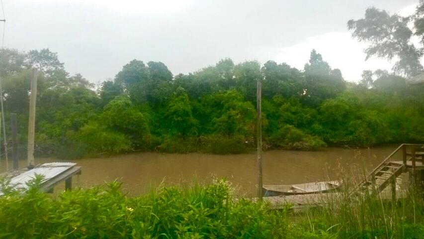 Touch Nature Delta del Tigre Relax on the Island.