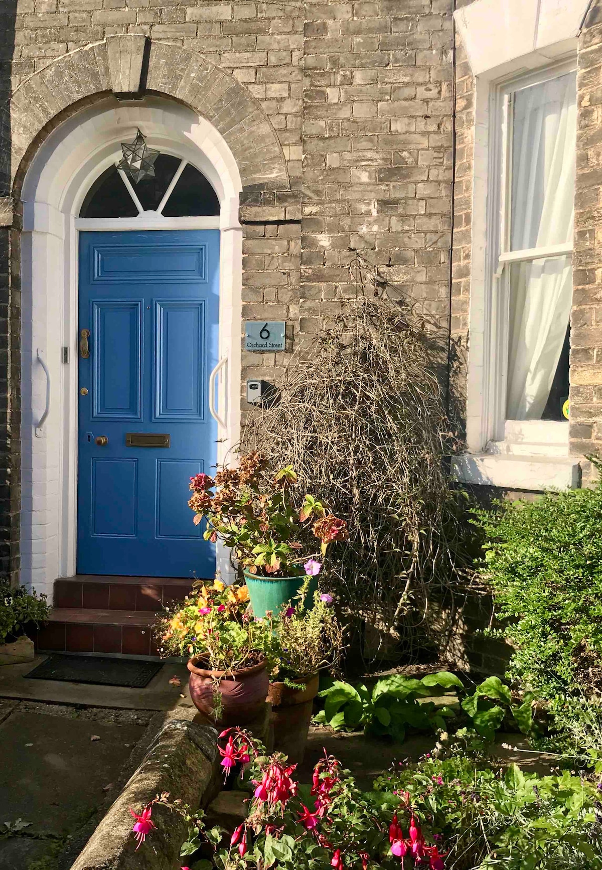 The entrance features a bright blue door framed by a classic archway. A small, decorative house number '6' is affixed beside the door. Lush plants and colorful flowers in pots line the walkway, adding a welcoming touch to the facade.