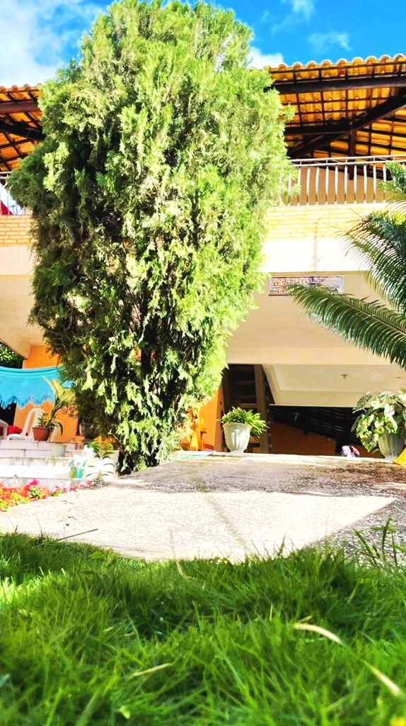 A lush green tree towers over a well-maintained garden area, accompanied by vibrant plant life. Steps lead up to a welcoming entrance under a covered patio. Natural light brightens the scene, highlighting the inviting atmosphere of the outdoor space.