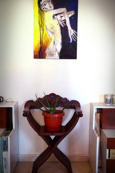 Hello Aloe Vera