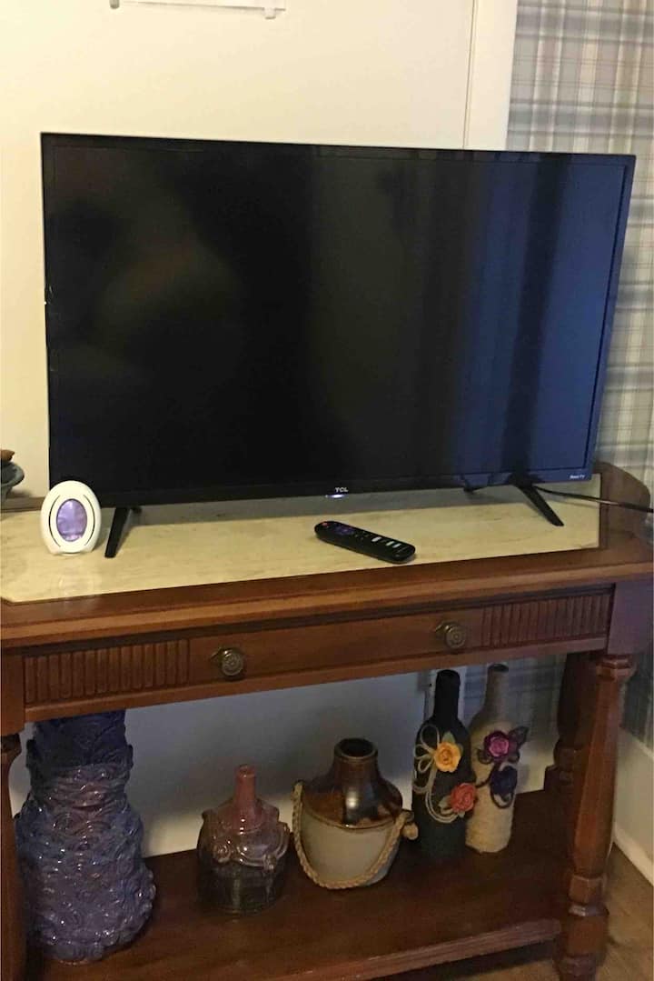 Roku TV 32 inča s You Tube TV-om, Netflixom, Huluom, Disney Plusom