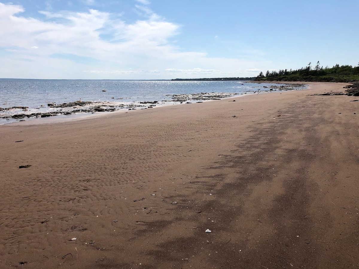 Aerial view of the campsite shoreline