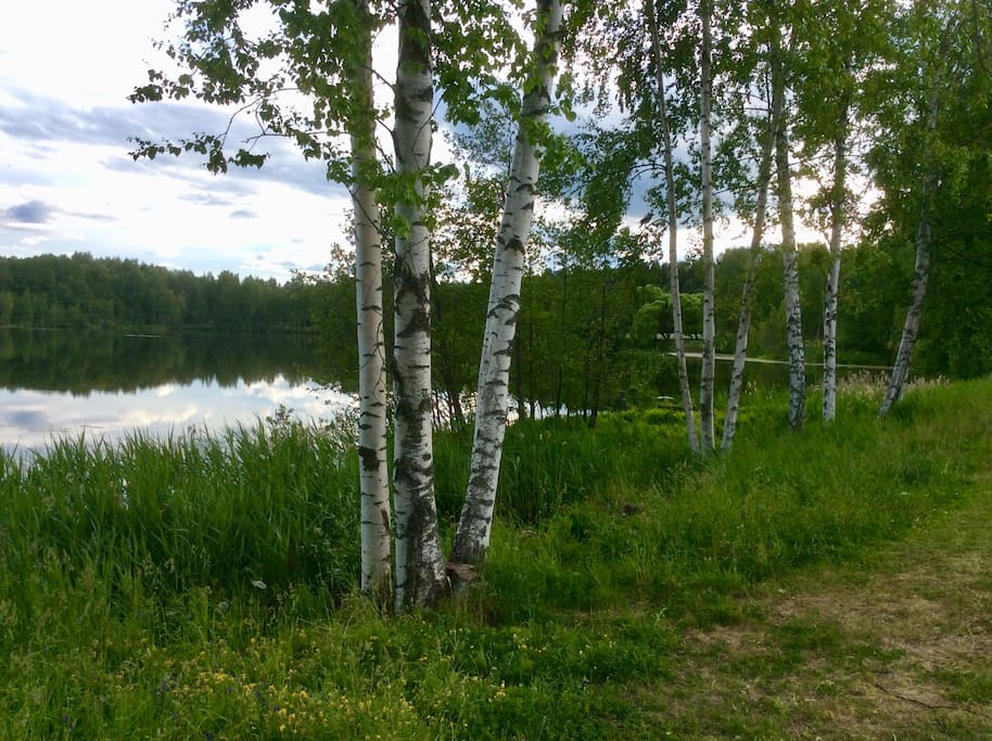 Vaakkolammen puistoa