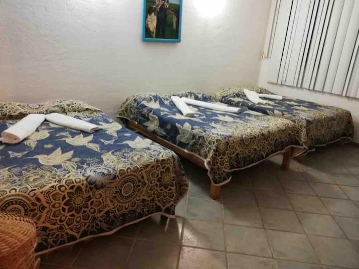 חדר בקומת קרקע עם מיזוג אוויר, 3 מיטות זוגיות, חדר רחצה ושירותים, ארון ונוף לים.

חדר N1.