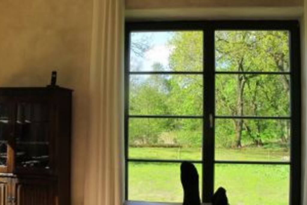 Böick aus dem Wohnzimmer in den Garten (leider unscharf)
