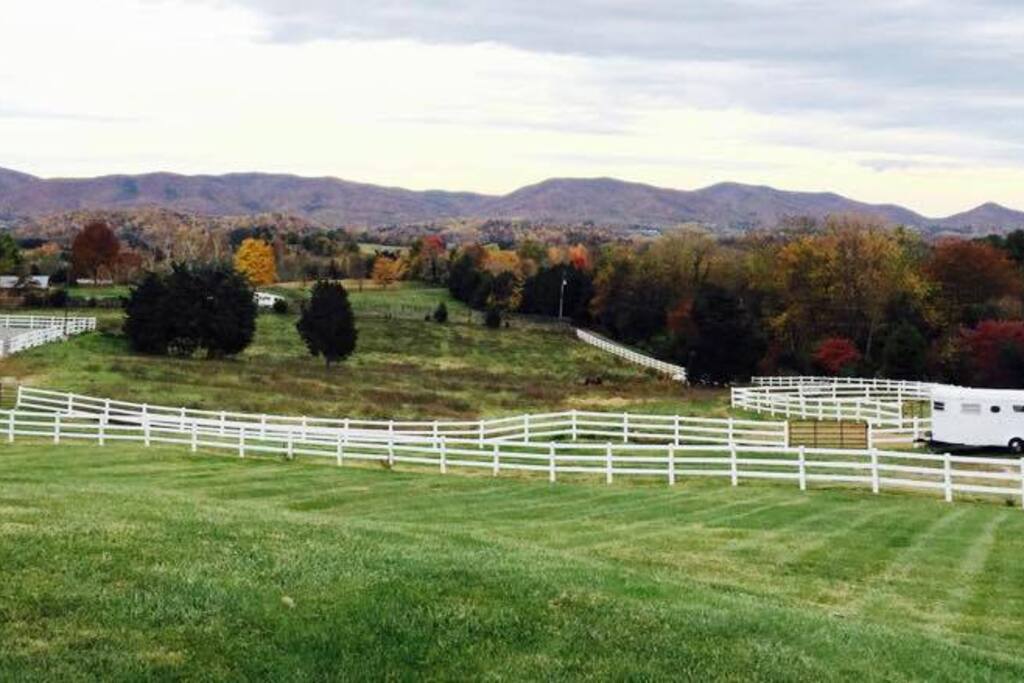 Fall colors!